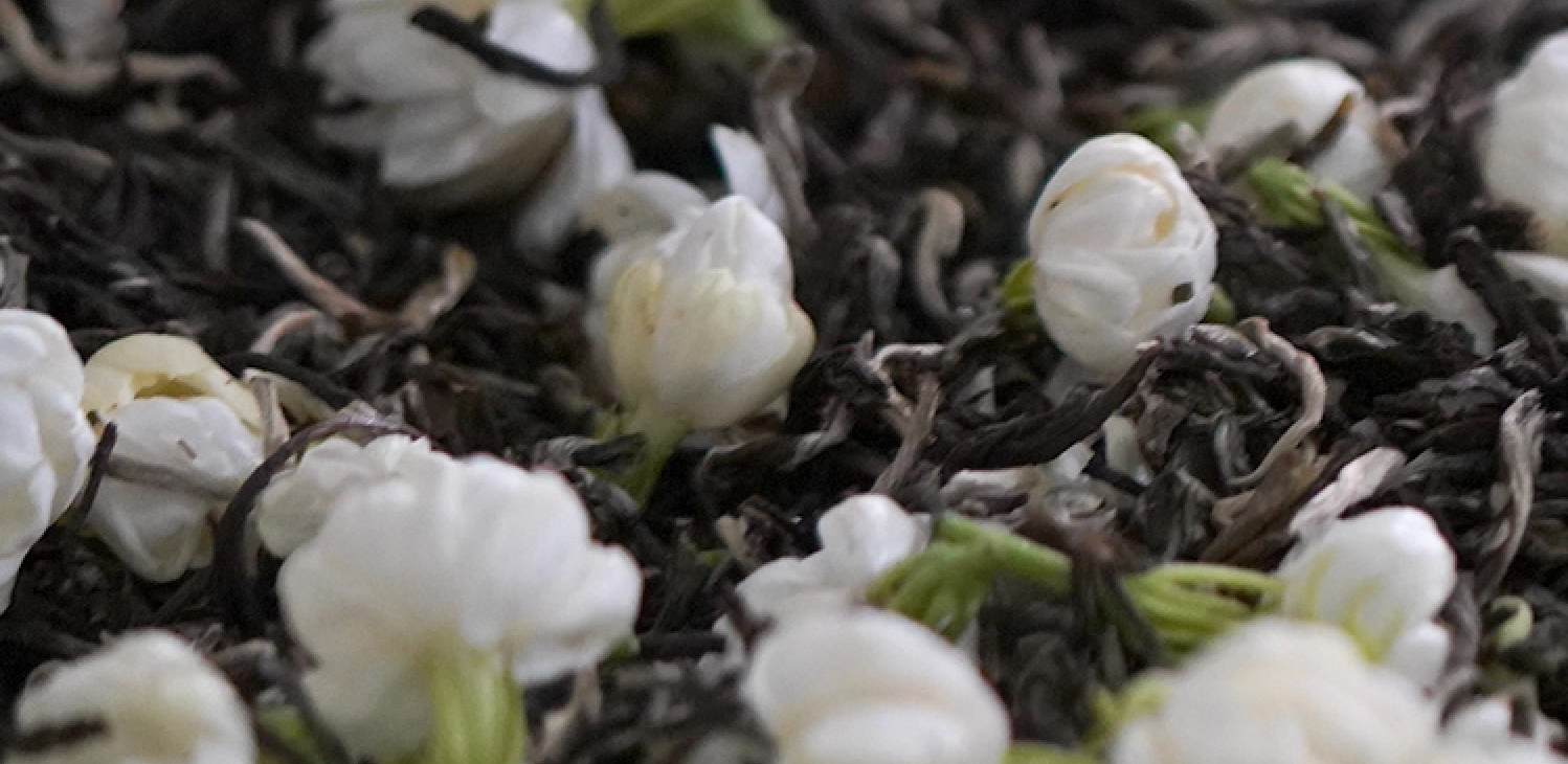 Loose leaf Jasmine Green Tea blended with white jasmine flowers, aromatic floral fragrance and smooth taste.