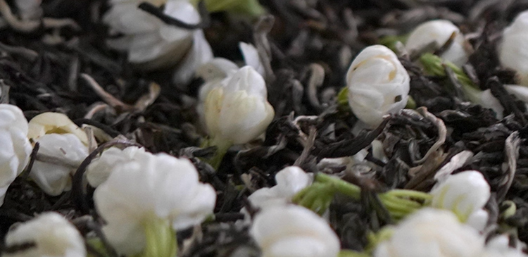 Loose leaf Jasmine Green Tea blended with white jasmine flowers, aromatic floral fragrance and smooth taste.