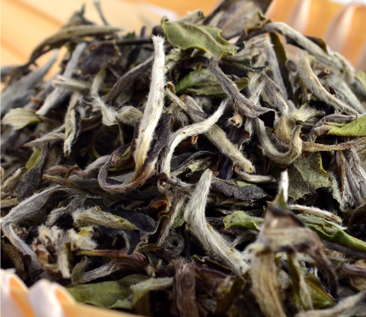 Loose leaf White Tea from Fujian, China – young buds and leaves with silvery tips, delicate floral aroma, and smooth taste.