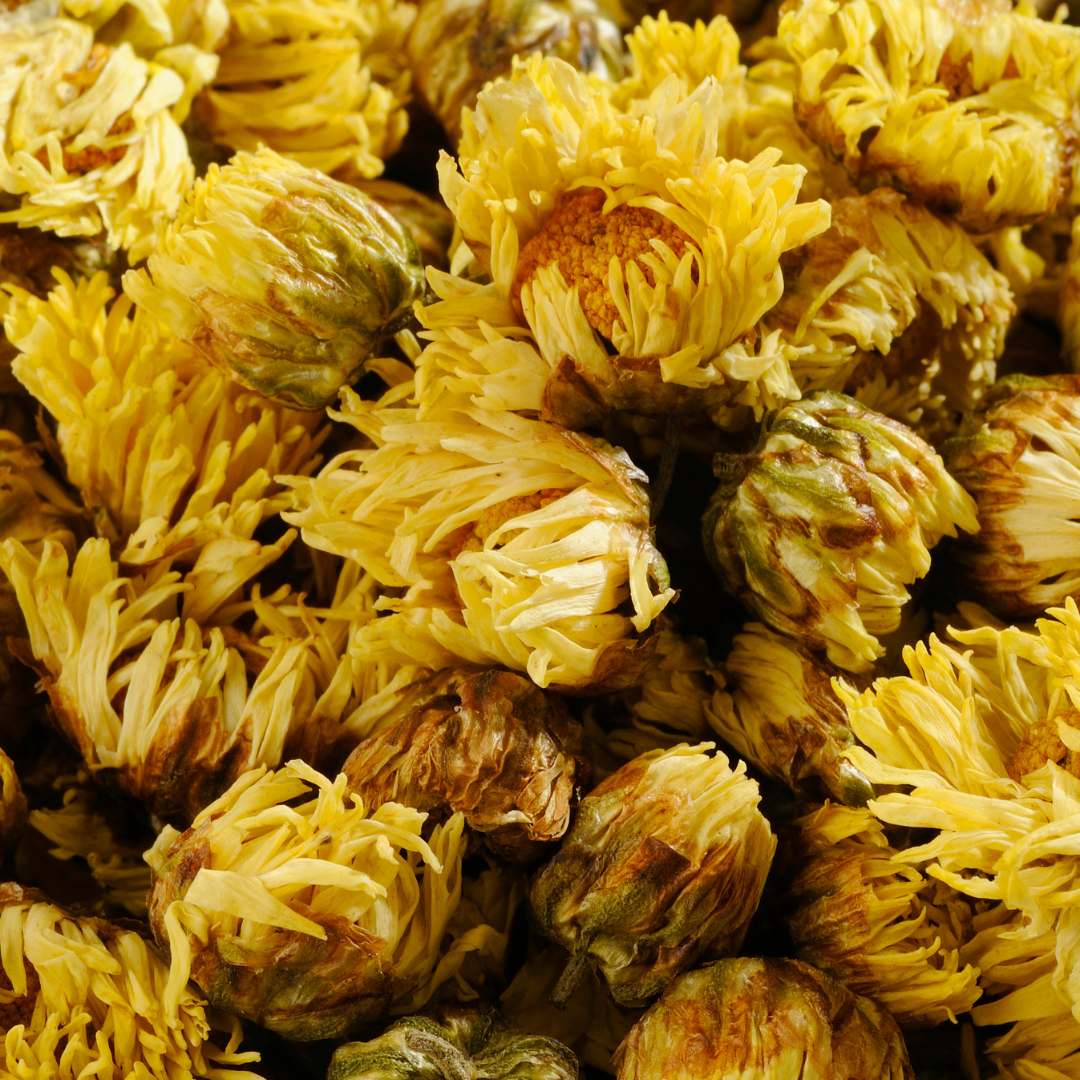Dried chrysanthemum flower tea buds – floral aroma, soothing herbal infusion